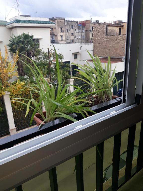Amor Hotel Φεζ Εξωτερικό φωτογραφία